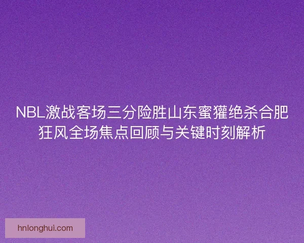 NBL激战客场三分险胜山东蜜獾绝杀合肥狂风全场焦点回顾与关键时刻解析